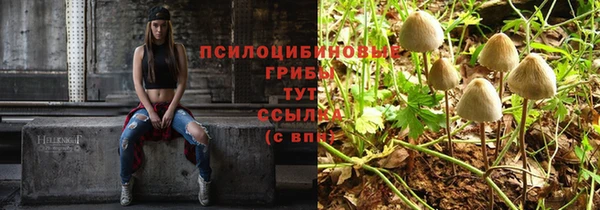 метадон Богородск