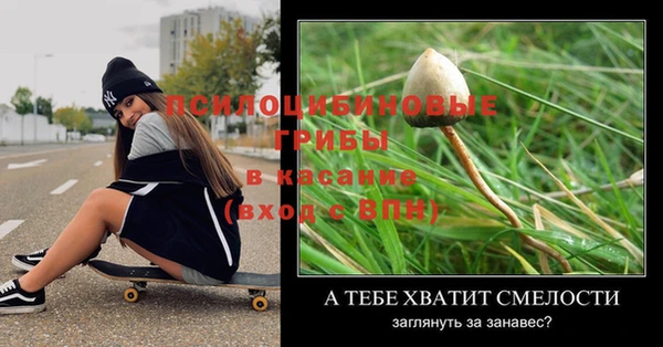 ALPHA-PVP Богородицк